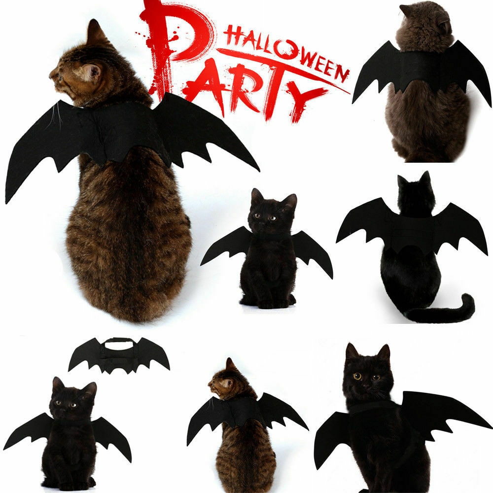 Cosplay Hond Kat Grappige Kleding Zwarte Vleermuis Vleugels Kostuum 1 Pcs Huisdier Huisdier Jurk Decoratie Halloween Party