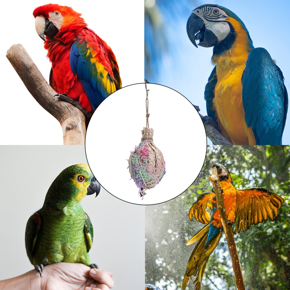 Oiseau perroquet jouets à mâcher paille oiseau morsure pour perruche perruche