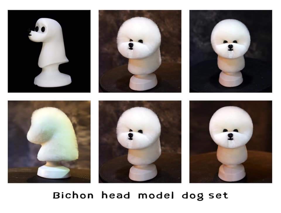 Grooming Model Dog Bichon Head Mannequin With Head Wig For Pet Goomers Trimming Practice / 1+1 KIT