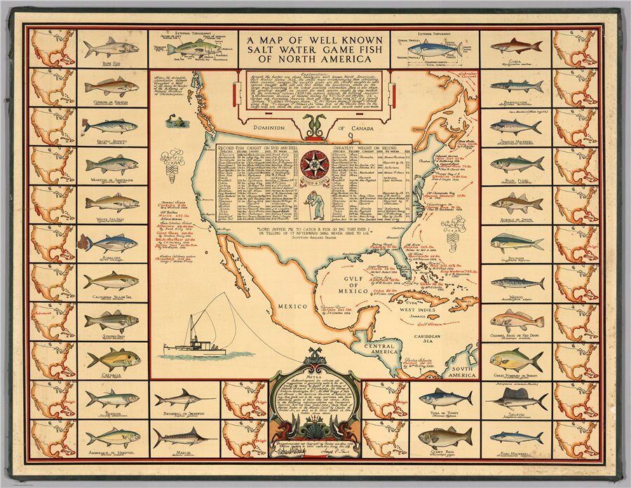 Poissons d'amérique du nord poisson graphique affiche pêcheur lac maison rétro autocollant mural Bar Pub salon décor à la maison
