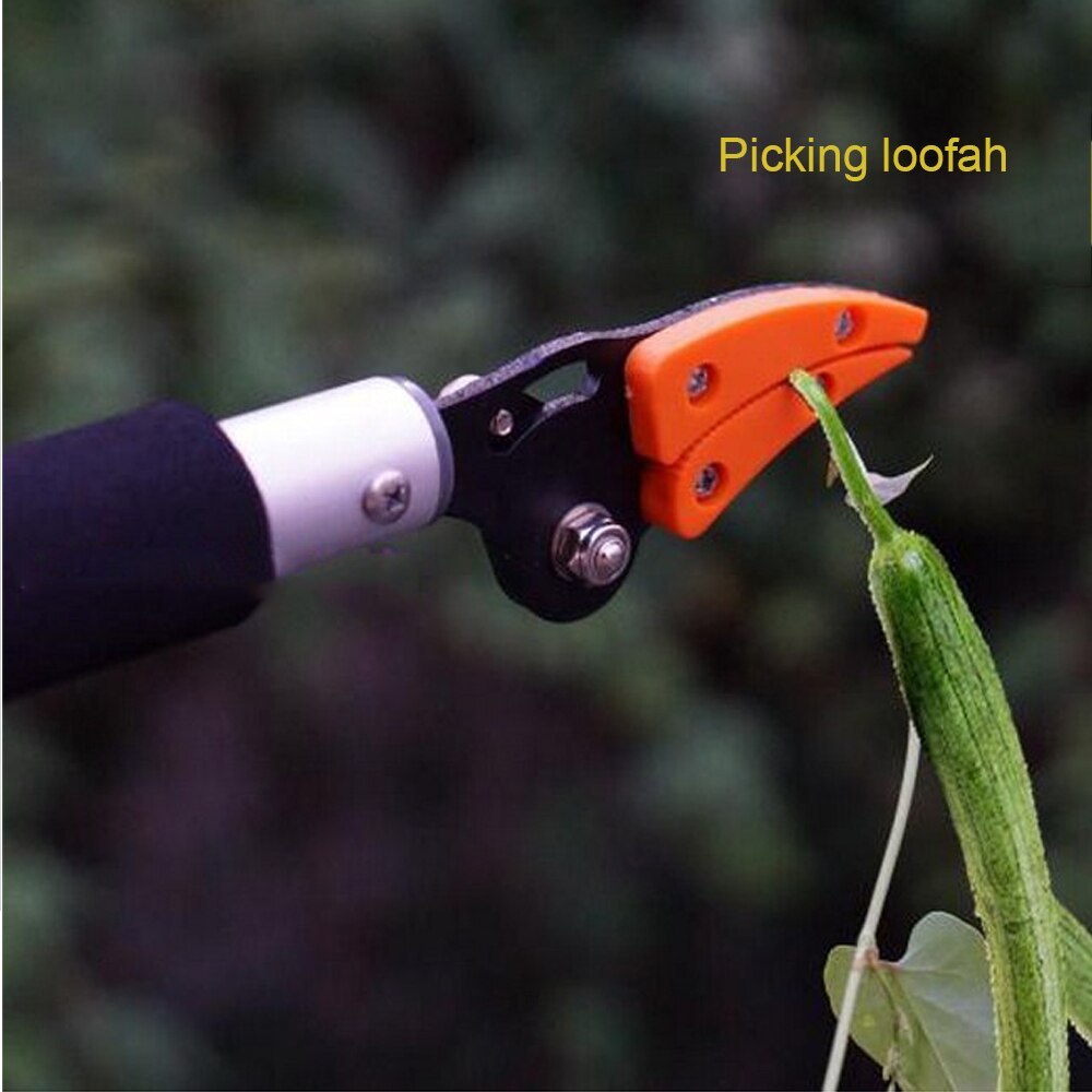 Taille-haie télescopique Extra longue de 0.6m, outil de jardinage, taille et maintien Extra-Long, coupe maximale de 1/2 pouces, cueilleur de fruits, coupe d'arbres