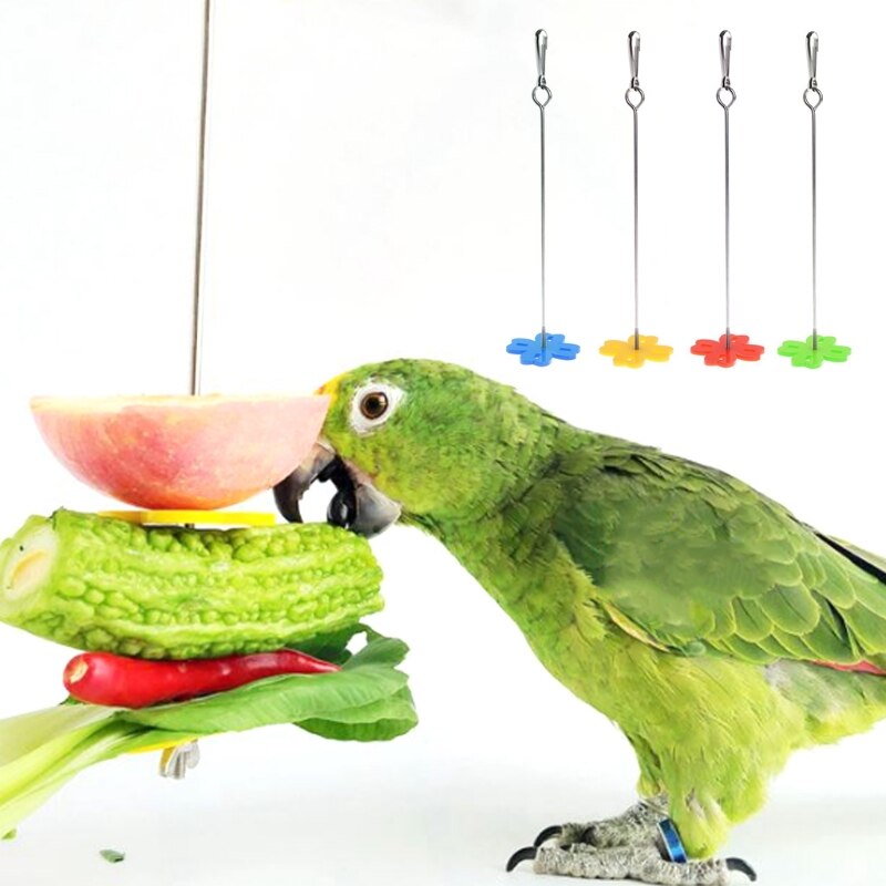 Rvs Budgie Vogel Speelgoed Papegaai Fruit Vork Voeden Vogels Hangen Kooi Rvs Parkiet Spies 2 Size