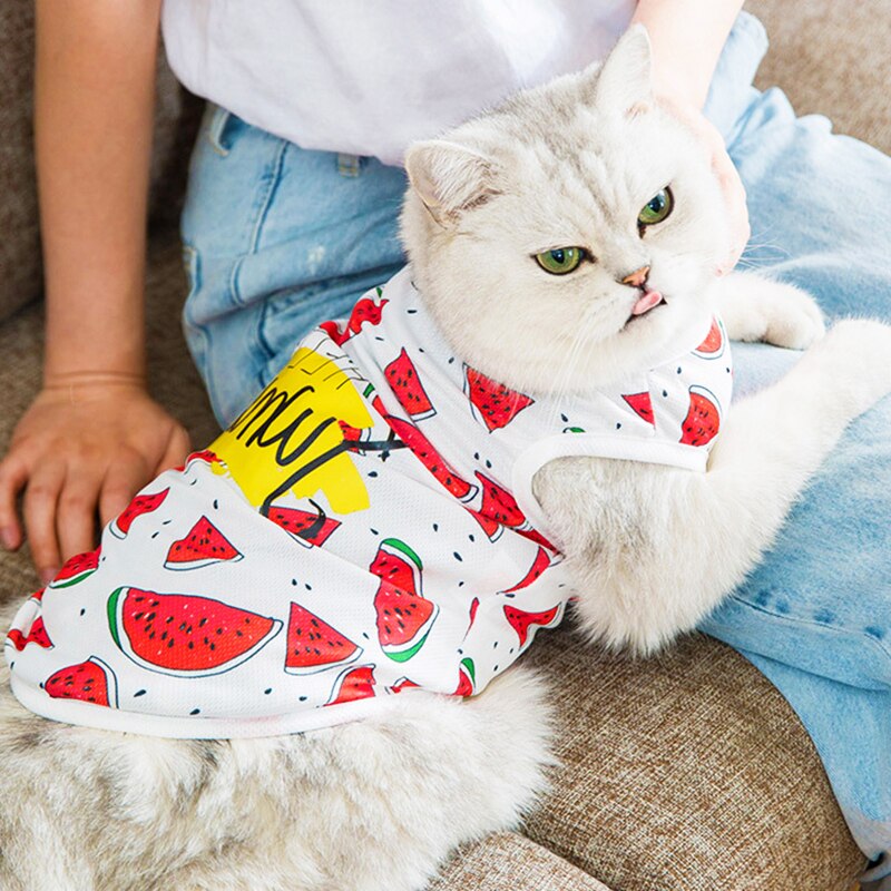 Gittergewebe Tuch Atmungsaktive Katze Kleidung Sommer Zwei-auf Beinen Katze Weste Welpen Kühle Voll Druck Wassermelone aufbringen Kleidung
