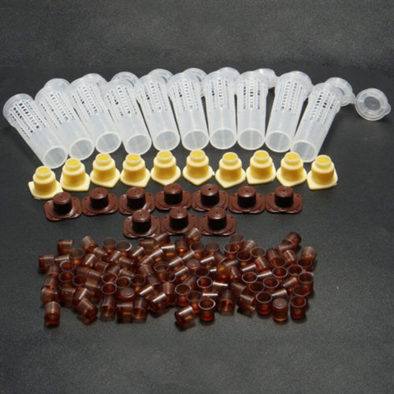 100 Set/lot Beekeeping Tools Equipment Set Beekeeping Rearing Cup Kit Queen Bee Hair Roller Cages Cell Cup Holder Cell Fixtures: Default Title