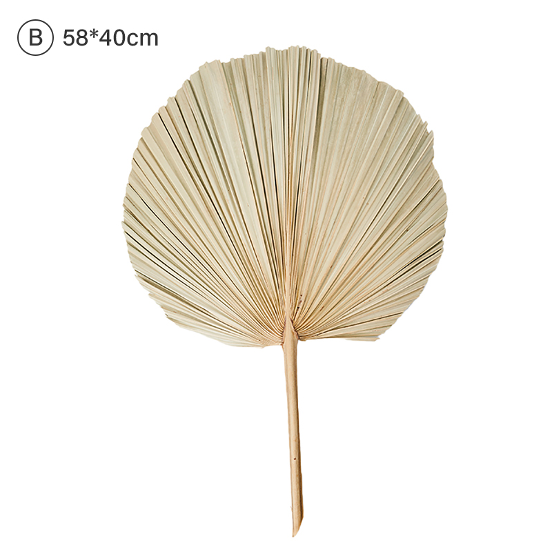 Palm Fan Leaf Dried Flower Palm Leaf Window Reception Party Art Wall Hanging Decoration Wedding Arch Arrangement: B