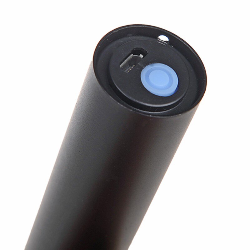 Pet Fungus USB Chargeable Ultraviolet Photodetector Violet Lamp Cat Ringworm Detection Black