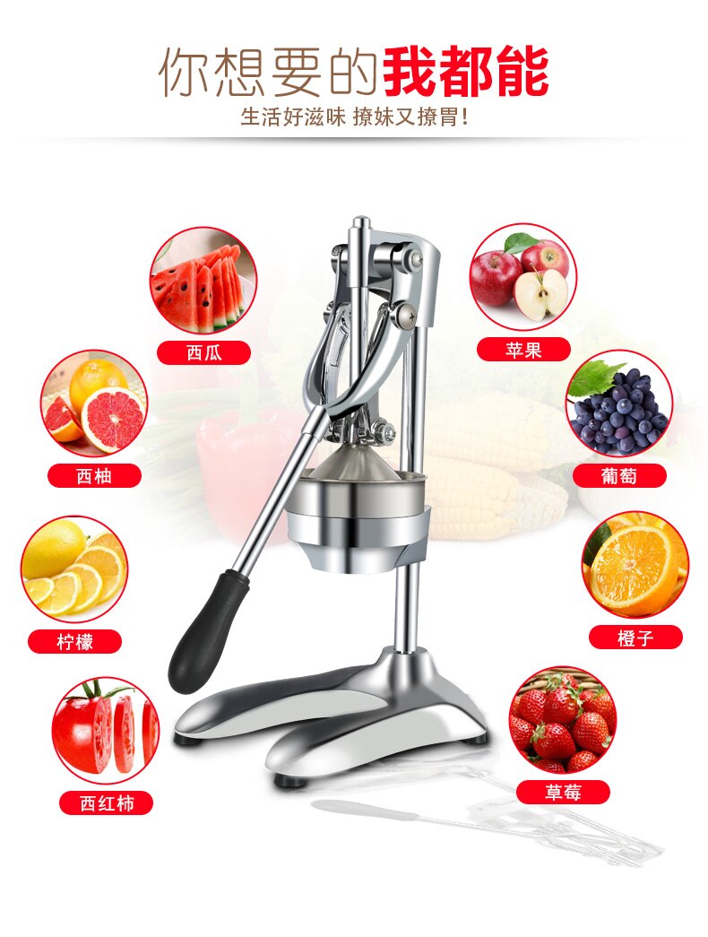 Edelstahl Obst Presse Entsafter Maschine Perfekte extrusion Große kommerziellen