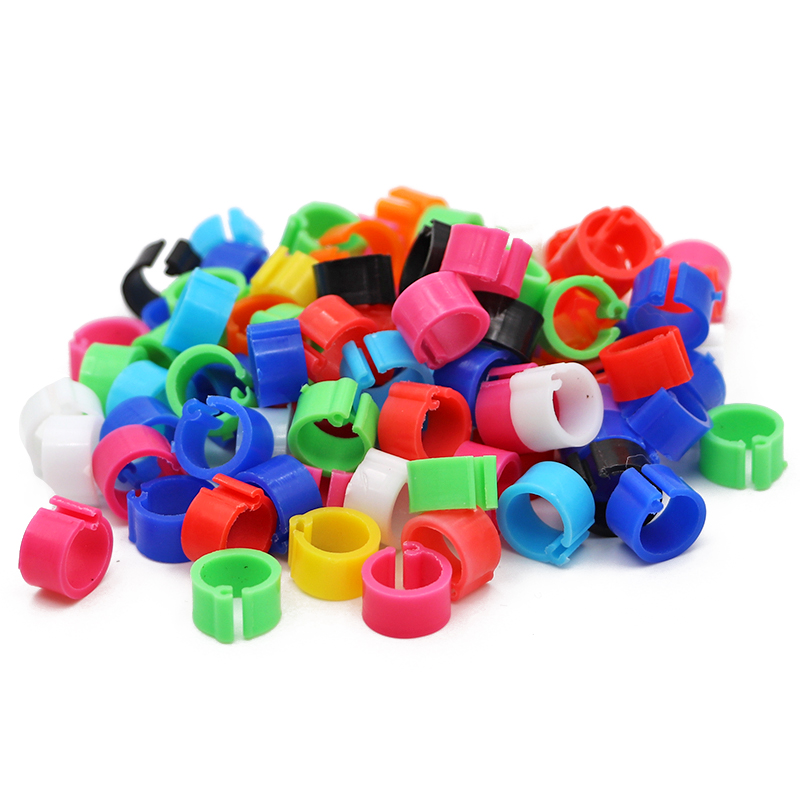 200Stck VöGel Taube Füße Ringe 10 Farben Kunststoff Clip Ring Taube Taube Wachtel Fuß Ringe Haustier Vogel KüKen Identifizierung ringe