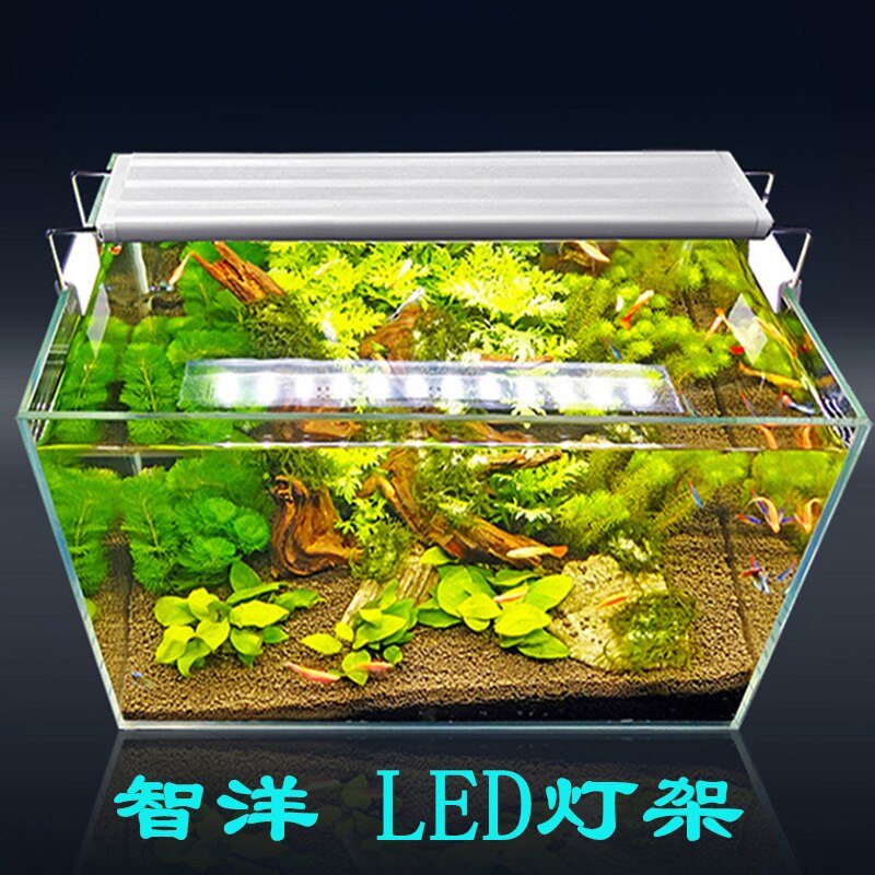 110-240V aquarium light stand LED aquarium clip light aquatic double row blue and white light bracket light aquarium light stand