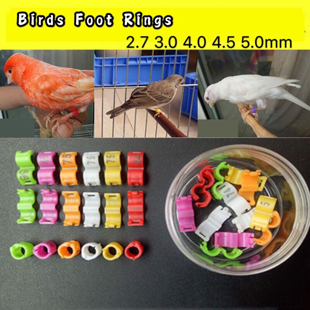 60 Pcs Inner 2.7/ 3/4/4.5/5Mm Kanarie Clip Ring Bird Pigeon Parrot Been Ringen Kleine Vogels Voet Ringen Mix Kleur Vogel Ring