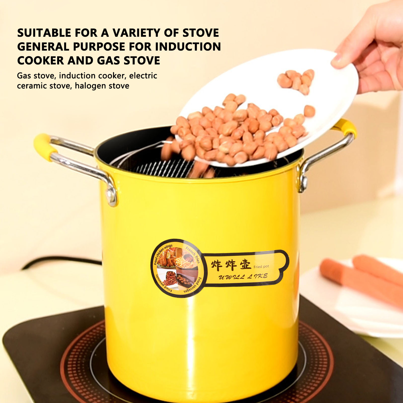 3L Friteuse Pot Frituurpan met Rekdeksel Oliefilter IJzeren pot keukenaccessoires Koekenpan Friteuse Gebakken kip Frieten