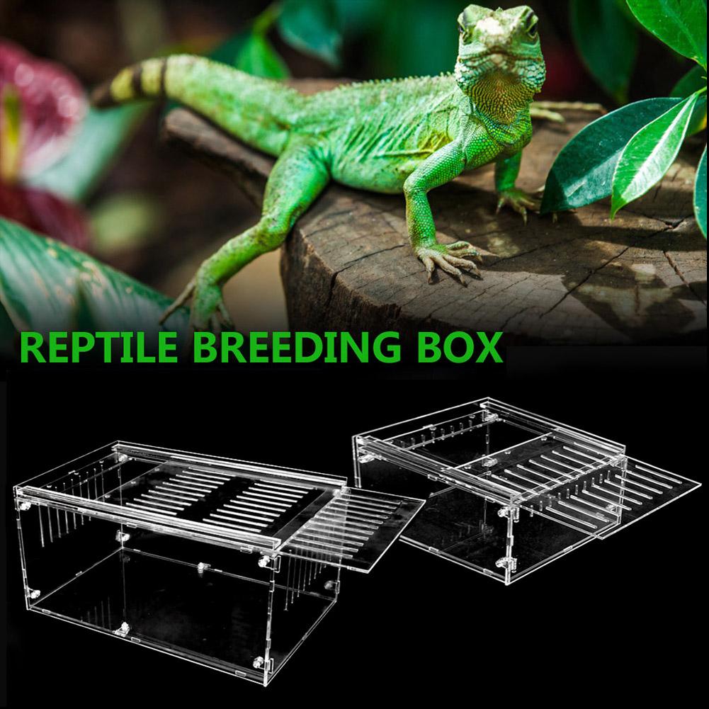 Pet Reptile Breeding Box Through Insect Breeding Box Snake Spider Lizard Scorpion Amphibian Breeding Box Crawling Pet Breeding