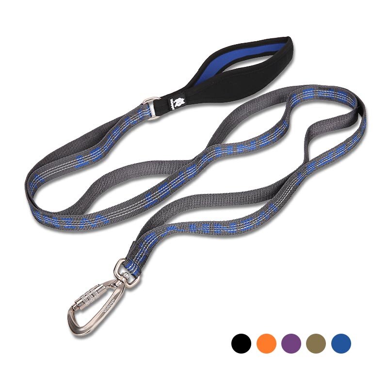 Truelove hondenriemen, duurzame reflecterende hondenriem van nylon, verstelbare trainingsriem met meerdere handgrepen voor honden.: Blauwgrijs / M 2.0140cm