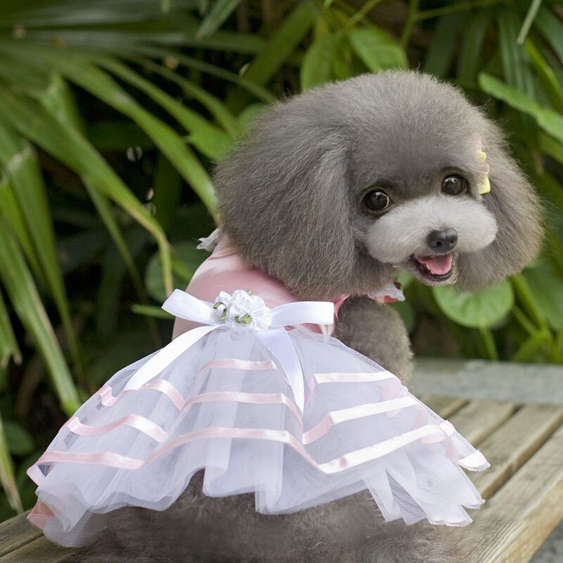 Jupe princesse pour chien, vêtement pour animaux de compagnie, rouge uni, avec nœud ruban en Polyester, robes chics pour filles, printemps/été