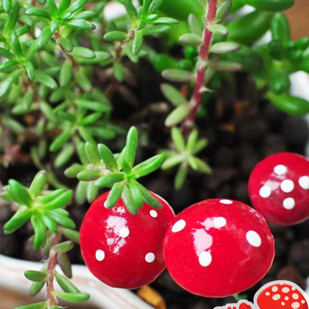 20 stk mini haven dekoration rød champignon harpiks kunsthåndværk håndværk fe udendørs havearbejde tilbehør miniaturer boligindretning
