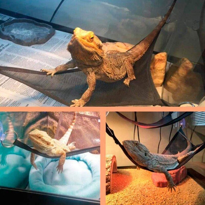 Hamaca para Reptiles, Reptiles, lagarto, esquinas triples, juguetes con ventosas, 4 piezas