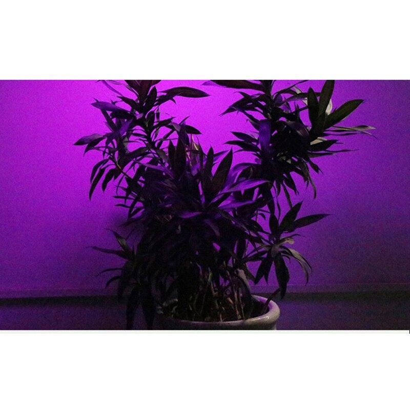 Volledige Spectrum Led Grow Lamp 200 Led Light Voor Plant Grow Light Rood Blauw Led Voor Planten Bloem Groei Lamp