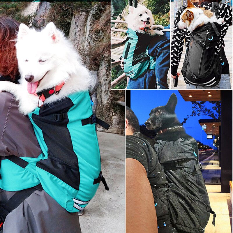 Sac à dos de transport pour animaux de compagnie, bouledogue français pour petits et moyens chiens, sac réglable pour chiot, chien, chat
