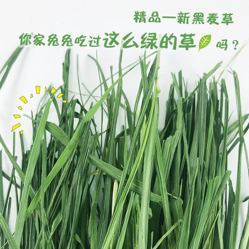 Verse Gedroogde Raaigras Fcl Hooi Snacks Feed Chinchilla Cavia Voedsel Konijnen Huisdier Producten Farm Animal Levert Bunny Accessoires