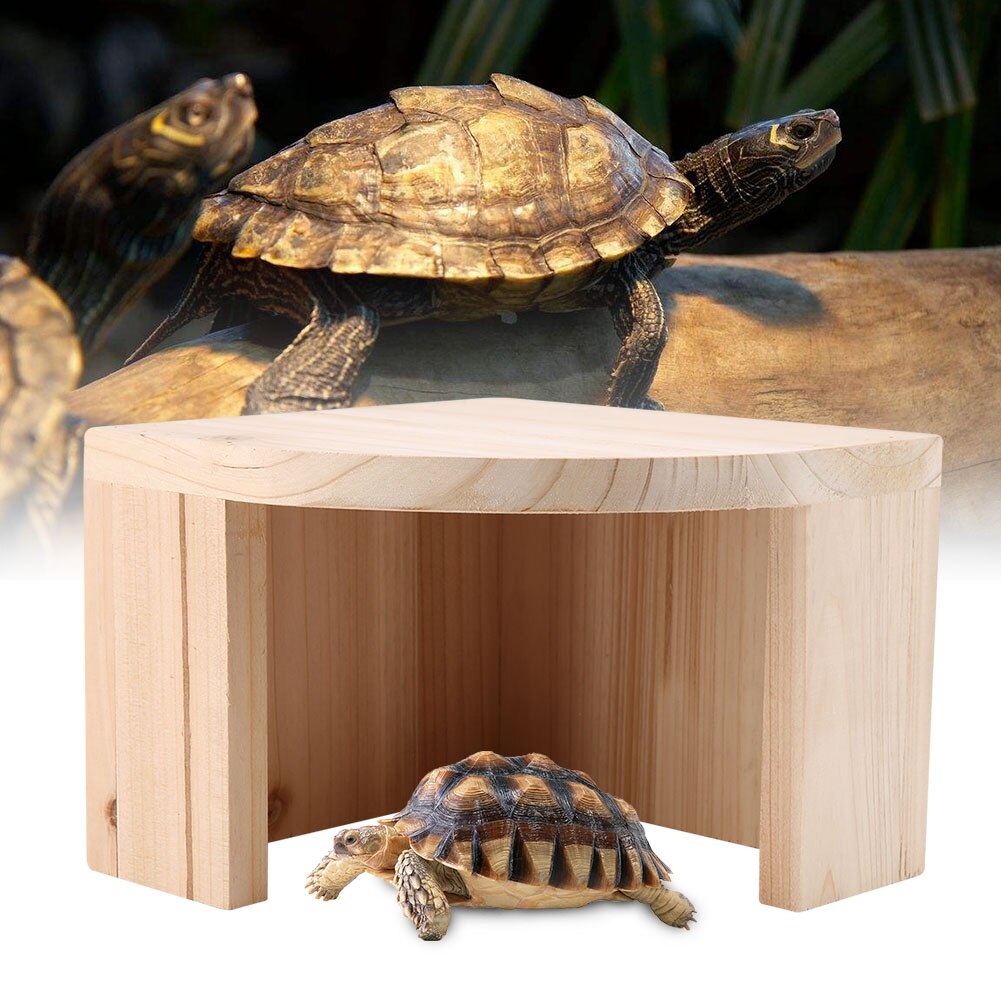 Elude de madera cueva reptil tortuga caja escalada paisajismo decoración transparente Reptiles casa