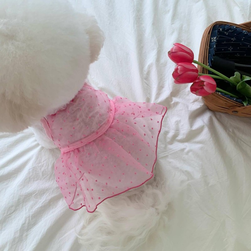 Hond Prinses Jurk Hond Kleding Voor Kleine Honden Puppy Zomerkleding Kant Roze Rose Hond Trouwjurk Chihuahua Pug Hond Rok: XL / green