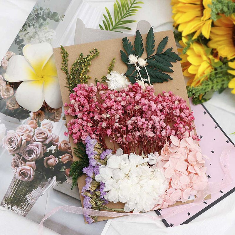 Fleur pressée mélangé fleurs séchées matériel pour bricolage aromathérapie bougies carte de voeux époxy artisanat boucles d'oreilles FAS6