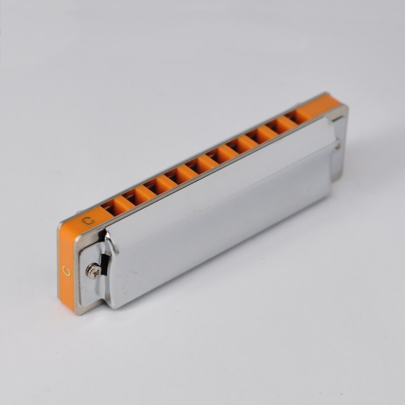 Ten Hole Blues Harmonica 10 Hole Paddy Harmonica Beginner Adult Performance Level