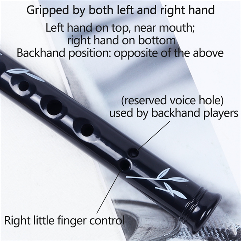 6- -hole irish tin penny whistle with case, key of cd, flute, whistle, instrument, woodwind instrument, for music lovers: Pink