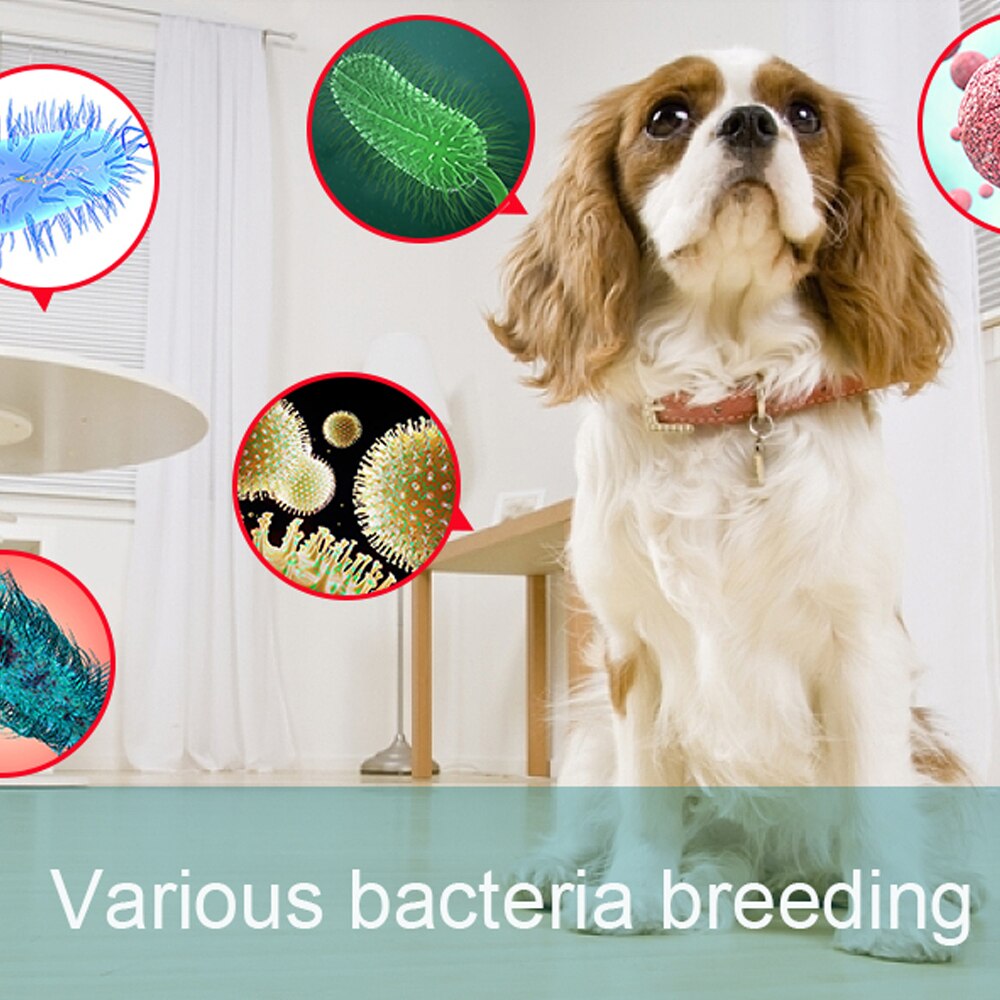 UV Light Disinfection Strip 5m 5050 LED Tape Germicidal Disinfection Light LED Strip Lights 12V for Home Disinfecting Air Clean