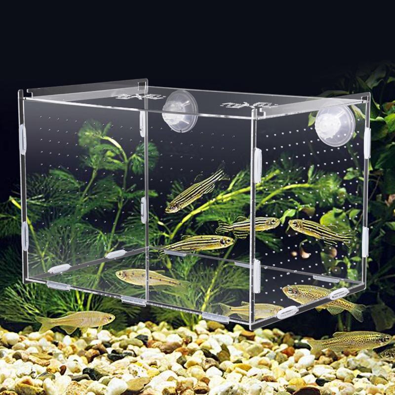 Guppy opdrætsboks akryl akvarium isoleringsboks fiskeæg opdræt etui lille fisk værelse