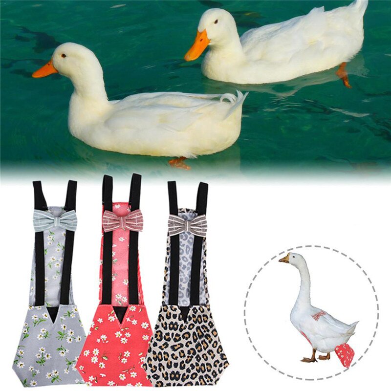 Couches pour animaux de compagnie poulet canard couche-culotte vêtements de ferme Portable Portable tissu de volaille avec une bande élastique fournitures pour animaux de compagnie