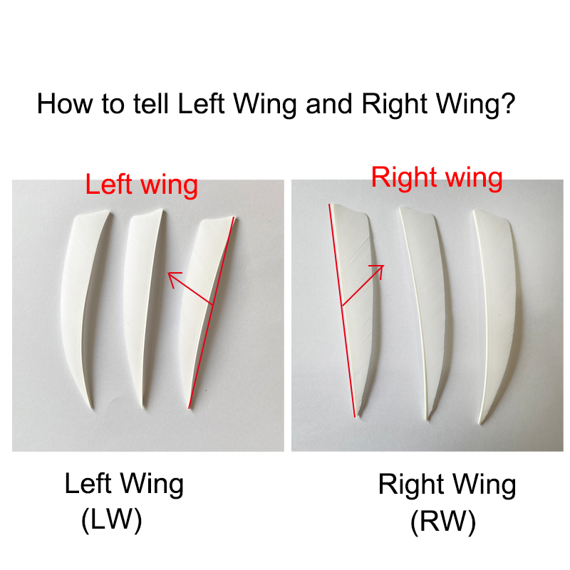 100Pcs 4 "Links Flügel Bogenschießen Befiederung Türkei Federn Schild Pfeil Welle Feder Befiederungen Flügel Jagd Schießen Zubehör