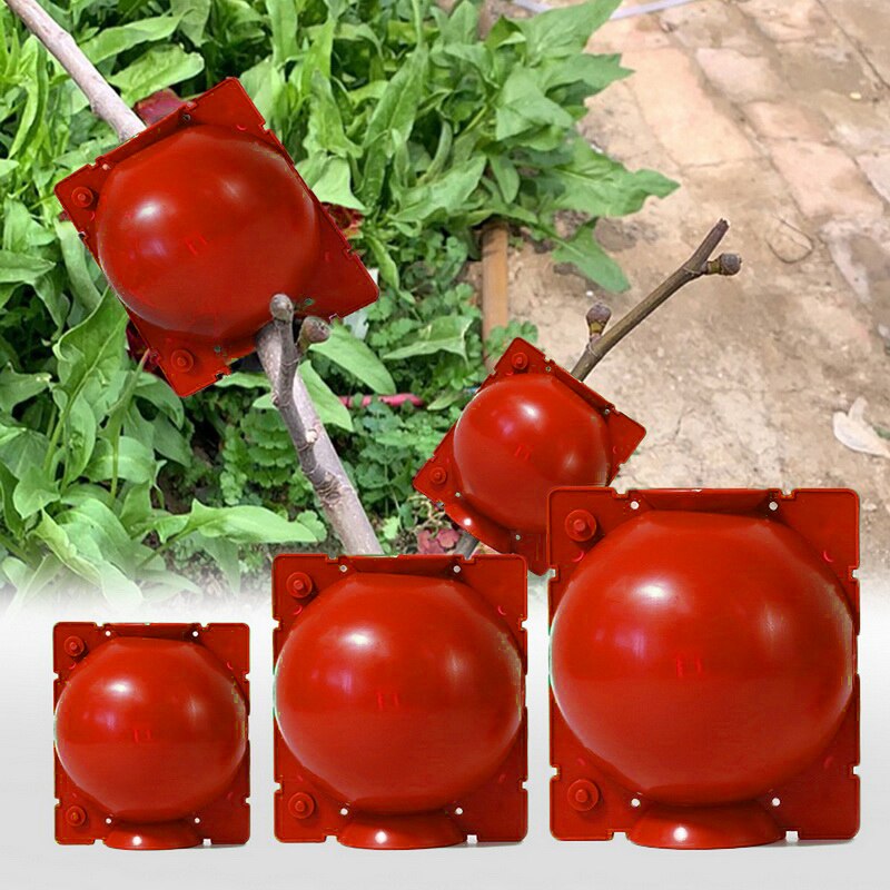 Plant Rooting Ball Grow Roots Plants Growing Box Grafting Rooting Box For Plants Propagation Nursery Boxes Breeding Garden Tool