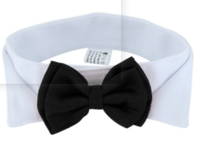 1PC Pet Puppy Honden Verstelbare Vlinderdas Kraag Stropdas Strik Bowtie Bruiloft Decoratie Accessoires Nieuw: Paars
