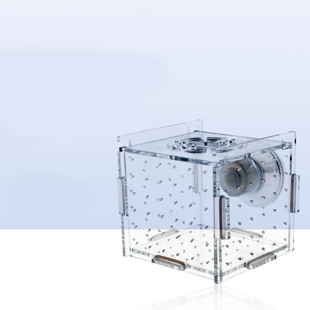 Single Grid Breeding Box Incubator Isolation Hairtail Nursery House Aquarium Accessaries