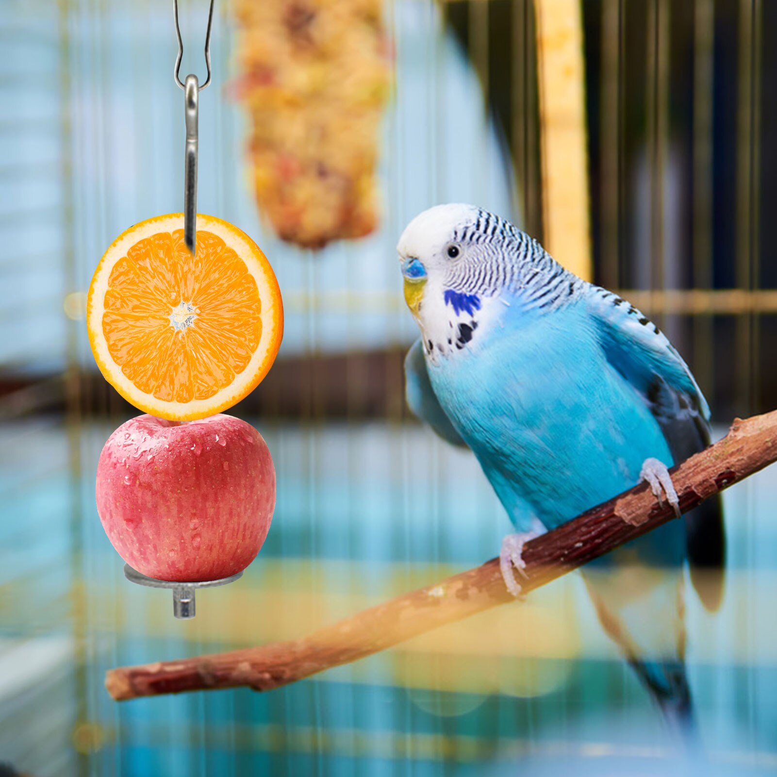16cm/23cm Stainless Steel Small Parrot Toy Meat Food Holder Stick Fruit Skewer Bird Treating Tool Bird's Cage Accessories