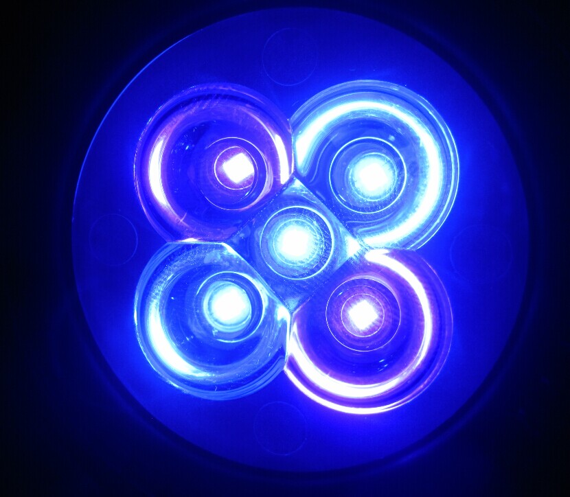 Luz LED para acuario para pecera, bombilla de coral de arrecife, luz de cultivo E27 para peces, plantas acuáticas, 10W: Blanco