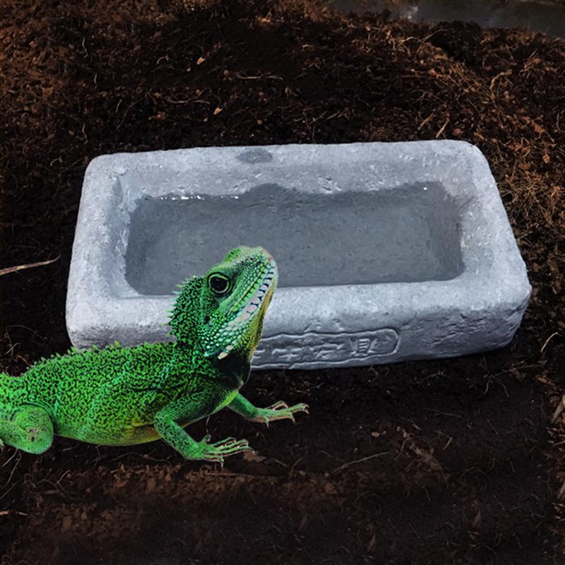 1 ud. Plato de agua y comida para reptiles, duradero, seguro, práctico, estable, no tóxico, bebedero para reptiles de serpiente, Tortuga, araña
