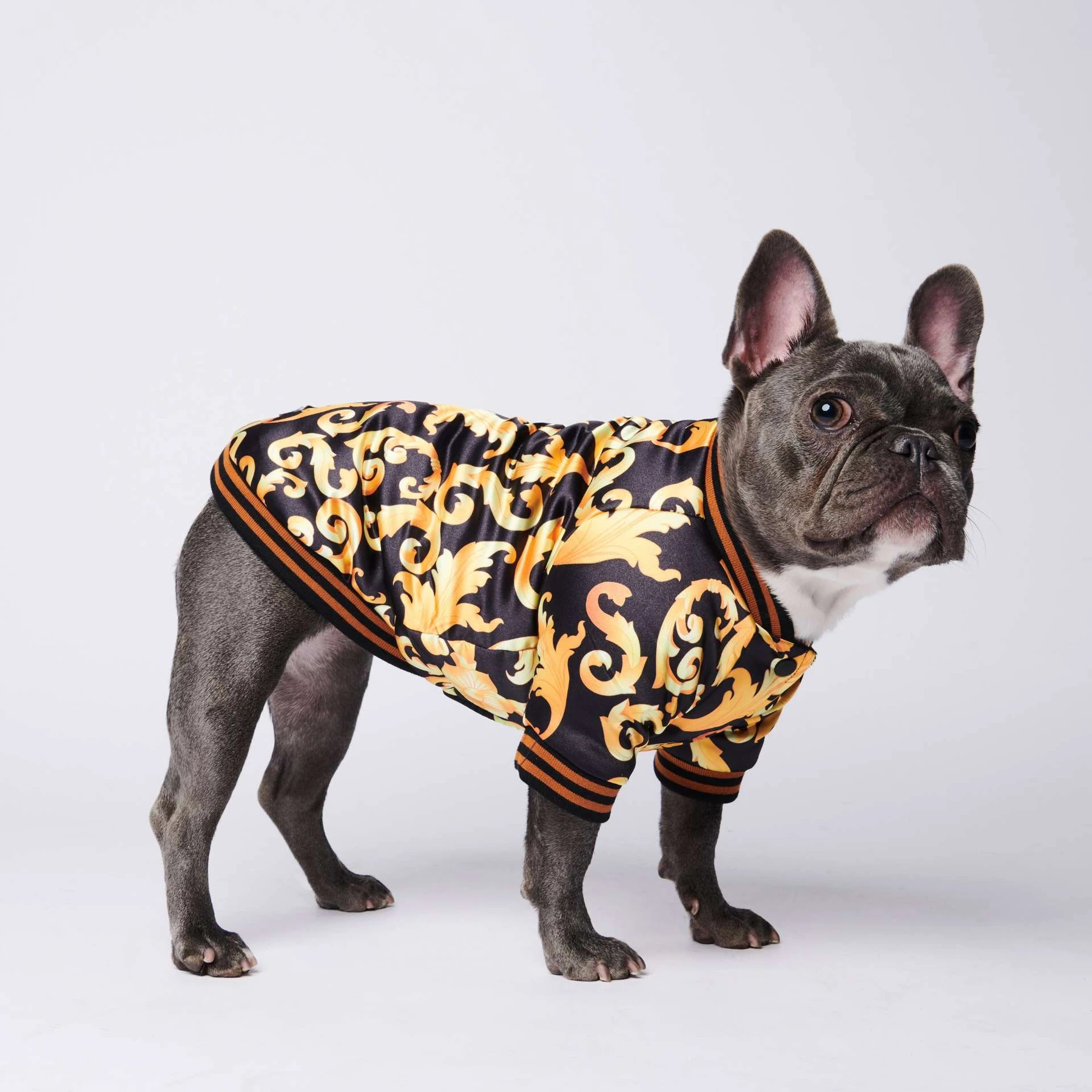 Francés ropa para Bulldog perro Sudadera con capucha de lujo para perros Adidog deporte de abrigo Retro Sudadera con capucha para perro mascotas ropa perros perro cachorro ropa de lujo
