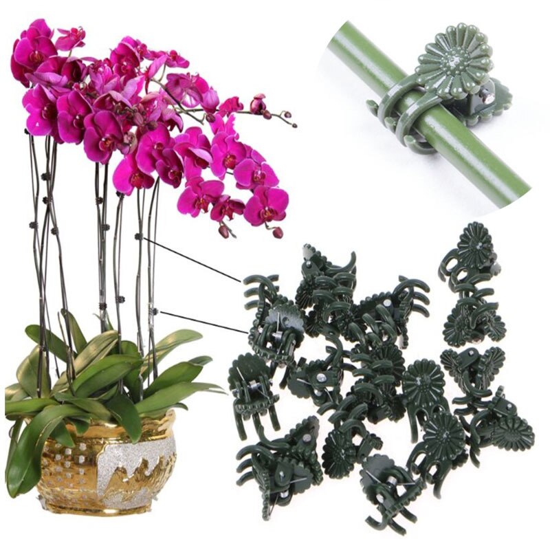 50PCs Garden Plant Flower Clips Reusable Tree Seedling Stem Support Garden Spring Hold Tree Grafting Stakes Connector Gadget