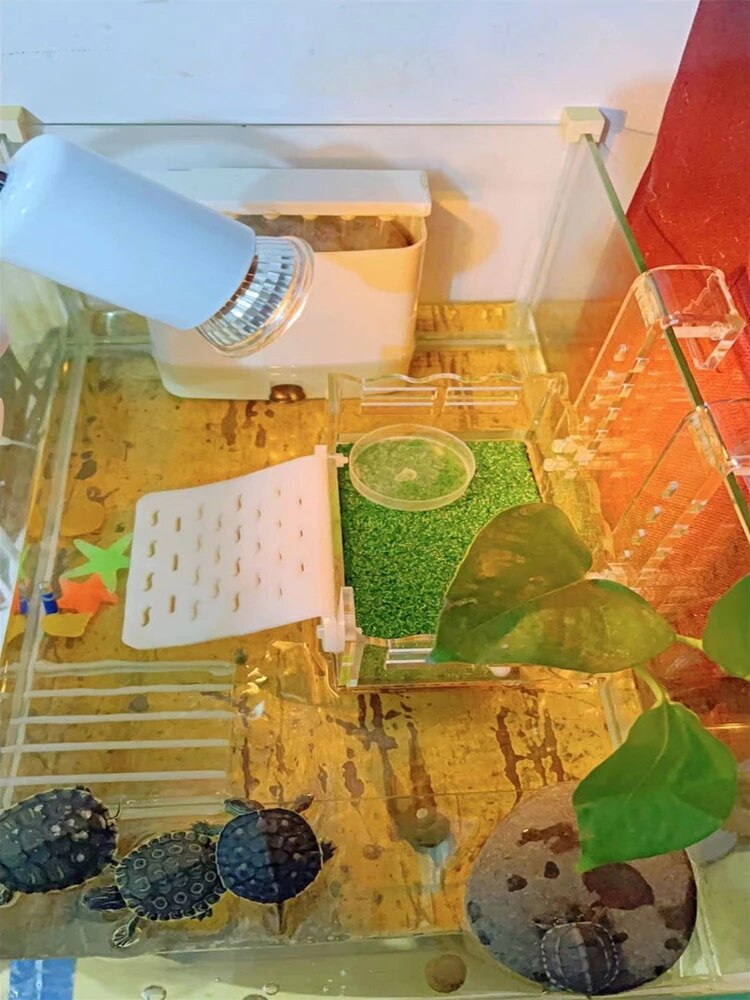 Wall-mounted tortoise terrace climbing frame deep water fish tank floating platform lying platform climbing ladder high water le