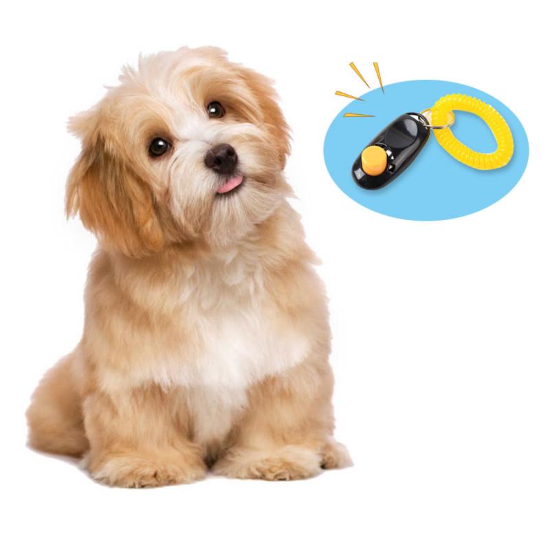 1Pcs Pet Kat Hond Training Clicker Plastic Honden Klik Trainer Verstelbare Sound Sleutelhanger Fluitje Clicker Hond Trainingen gereedschap