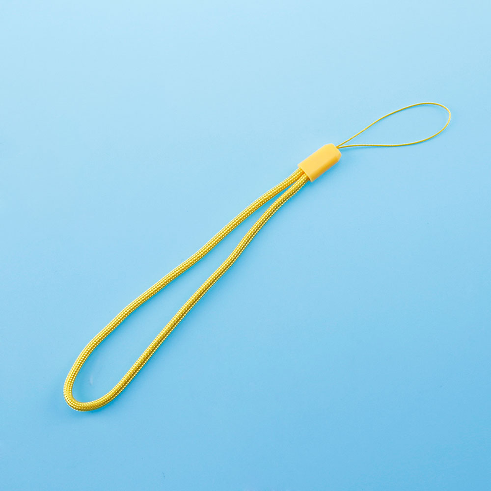 10 Stuk Regenboog Kleur Gevlochten Lanyard Pols Koord Touw Voor Gba Gb Gbc Gbp Gba Sp Anti-Verlies Pols Touw Accessoires: Licht Paars
