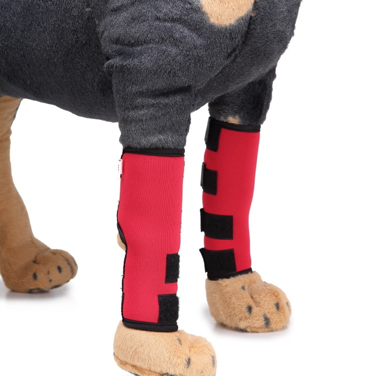Til kæledyrs knæpuder ekstra understøttende hunde cannie bagben hock joint wrap beskytter skade genvinde ben hunde skade beskytter