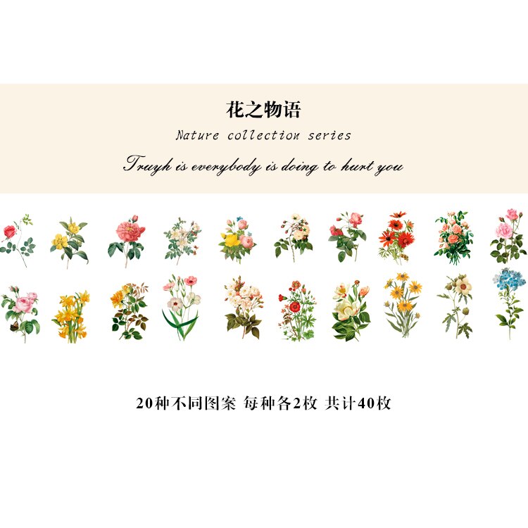 40Pcs Natuur Fotoboek Huisdier Grote Deco Stickers Plant Bloem Blad Transparante Kogel Journaling Accessoires Esthetische Stickers: C
