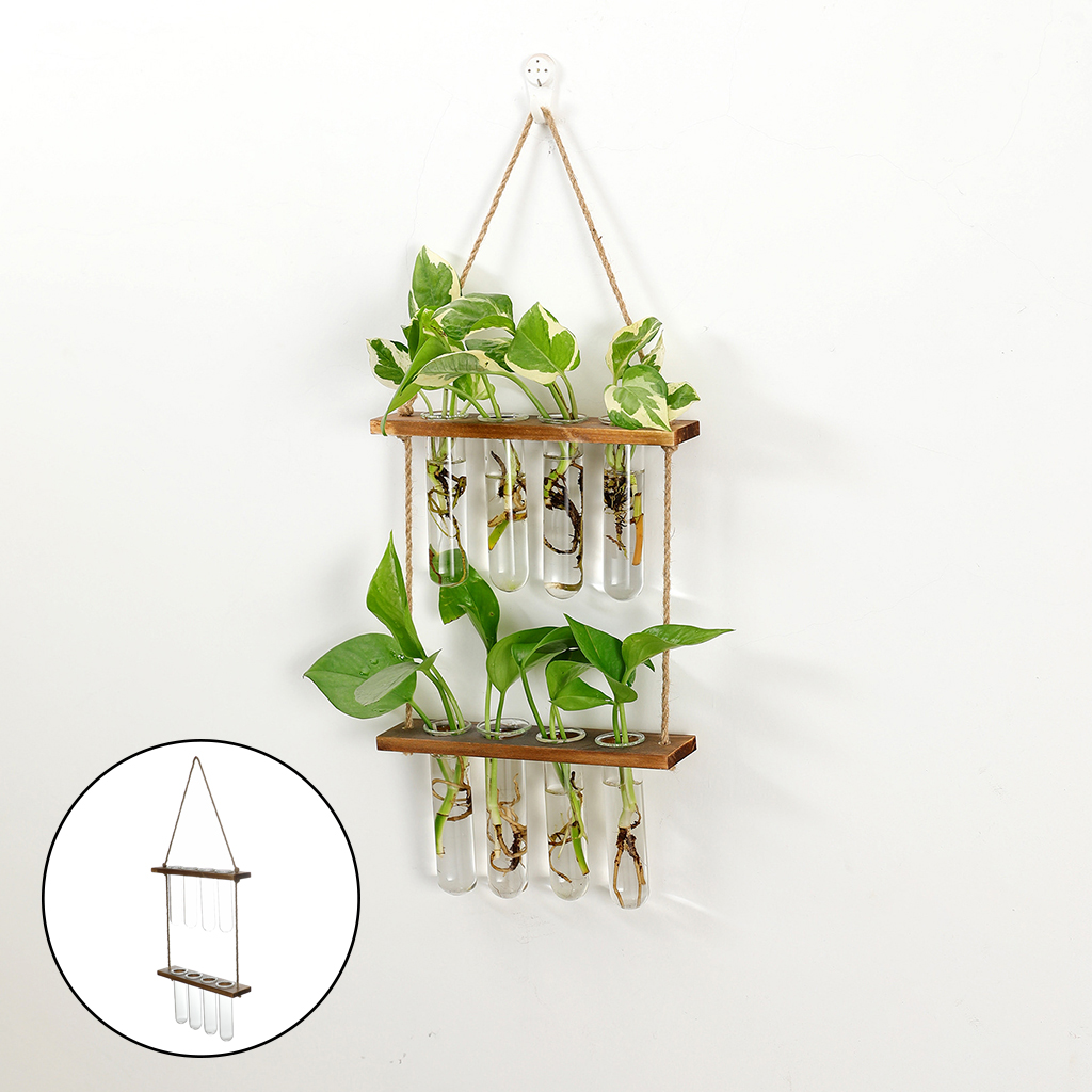 Terrario colgante de pared, plantador de flores, propagador para cortar, decoración de jardín