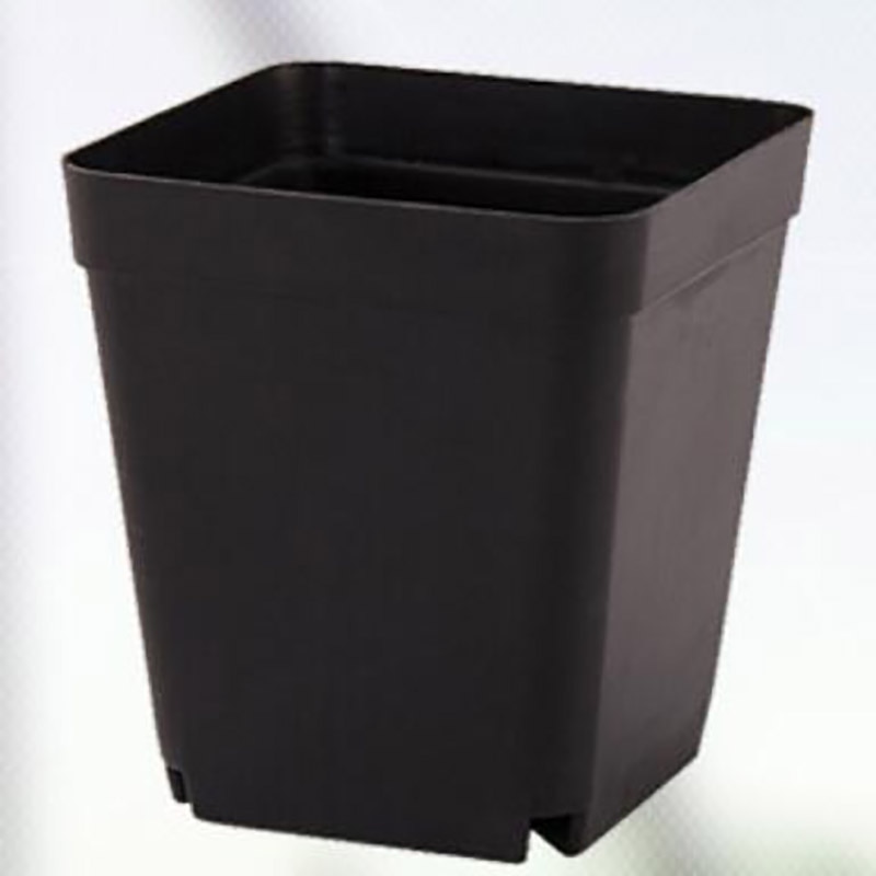 20/50 st mini plast svart färg blomma fyrkantiga krukor trädgård planteringskärl liten plantering plantskola kruka för suckulenta växter grönt