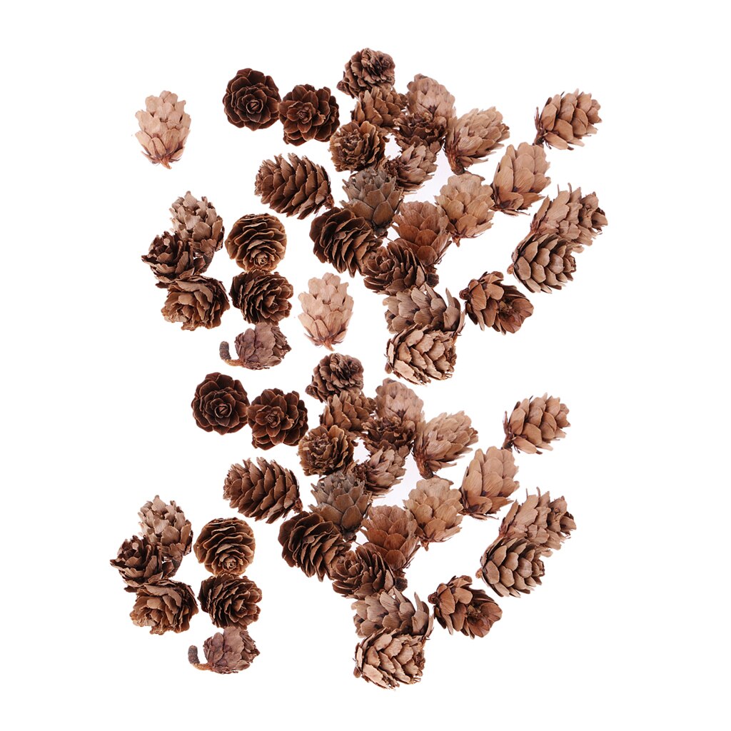 60x Mini Small Decorative Pine Cones for Home Party Ornament DIY Decorations
