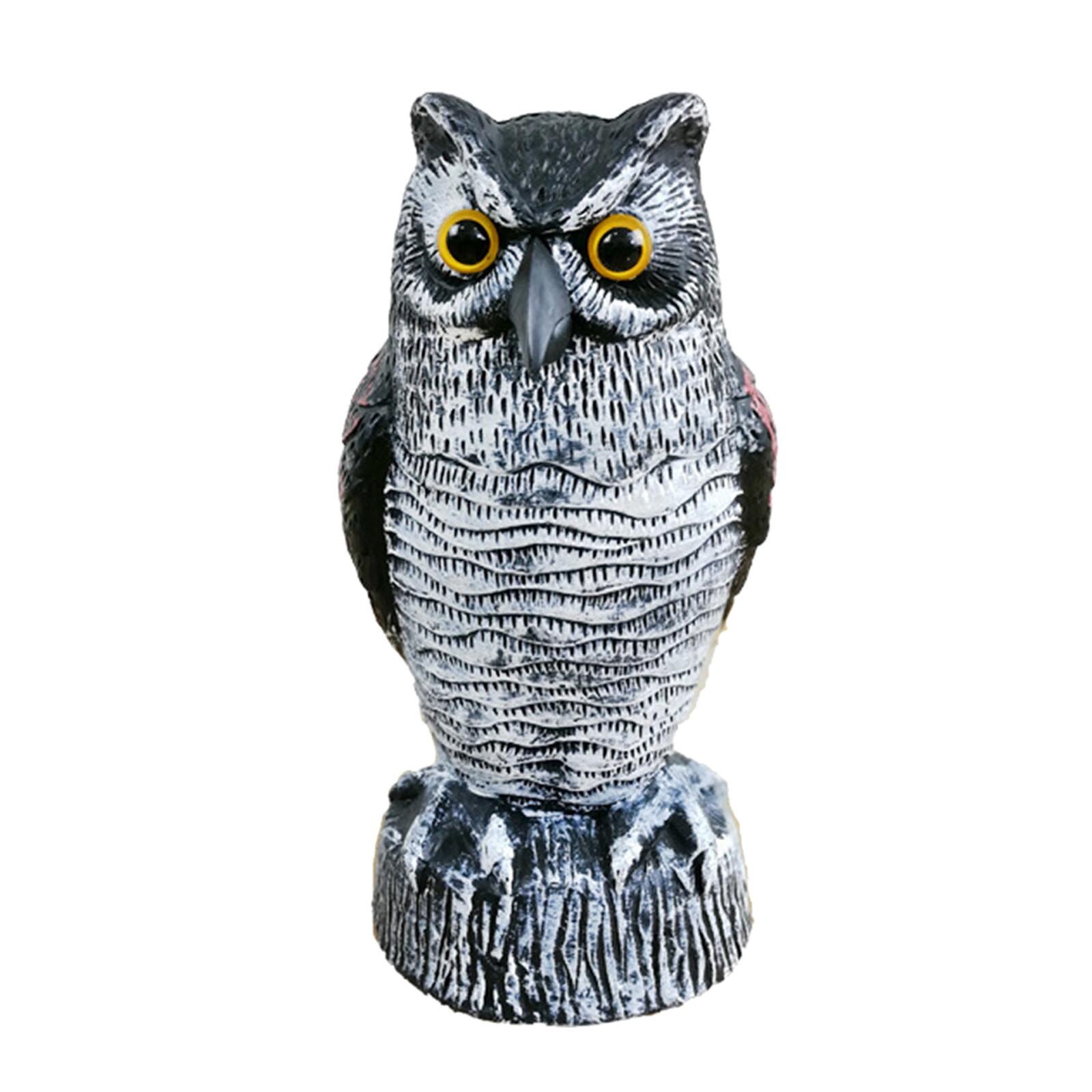 Plastic Uil Is Gebruikt Als Een Natuurlijke Vijandige Pest Repellent Voor Outdoor Tuinen Qw: A