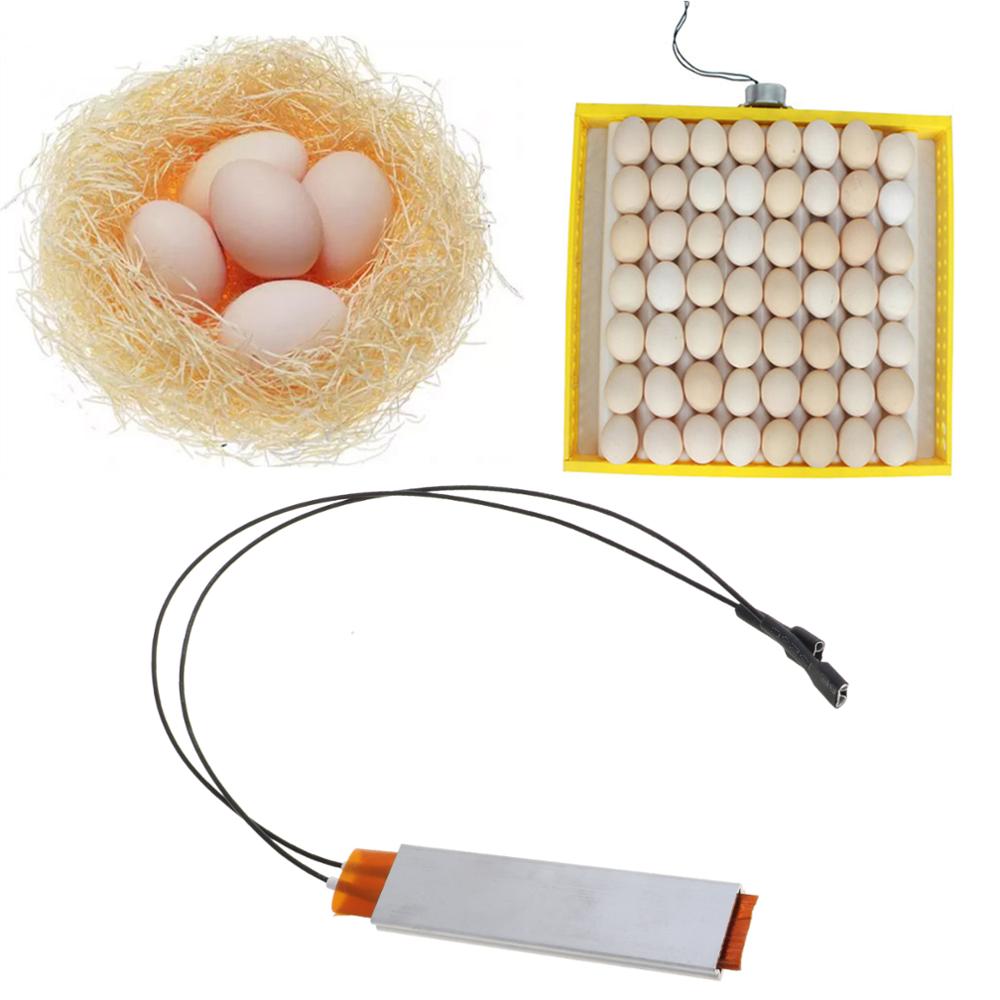 Free_on 220V Heating Incubator Heater Element Plate For Egg Incubator Accessories